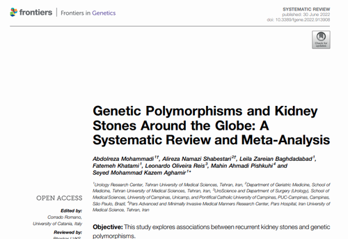 Genetic Polymorphisms and Kidney Stones Around the Globe: A Systematic Review and Meta-Analysis